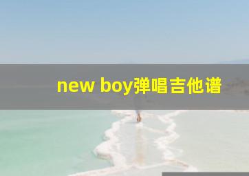 new boy弹唱吉他谱